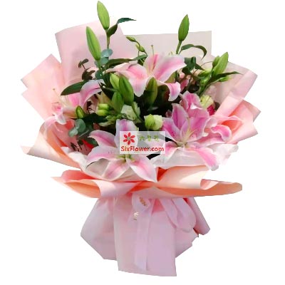 恩施6支粉色多头百合，祝你人生得意